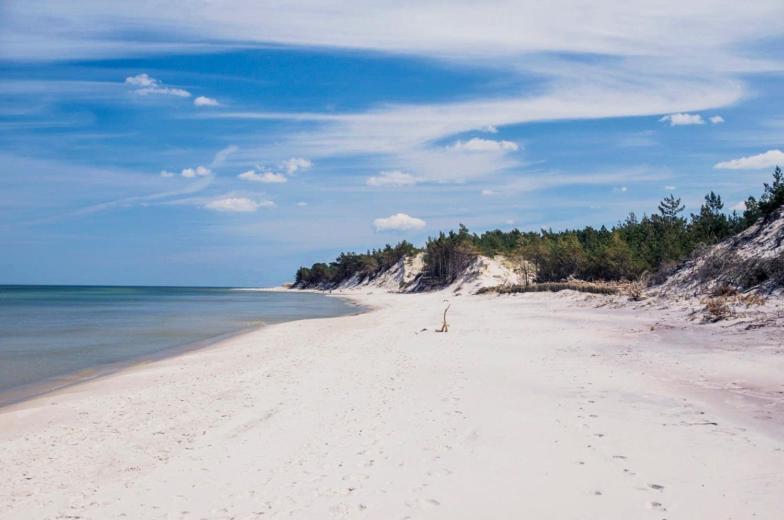 Apartament Premium Green Dune W Porto Łeba Eksteriør bilde