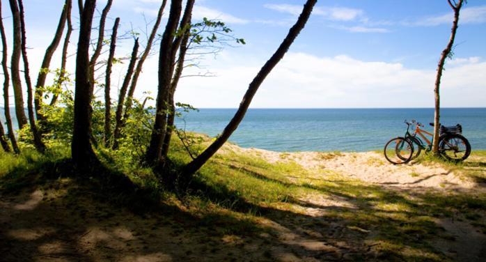 Apartament Premium Green Dune W Porto Łeba Eksteriør bilde